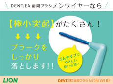 DENT.EX 歯間ブラシ NON WIRE_イメージ2