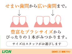 DENT.EX 歯間ブラシ_イメージ3