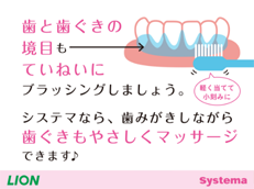 Systema 歯ブラシ_イメージ4