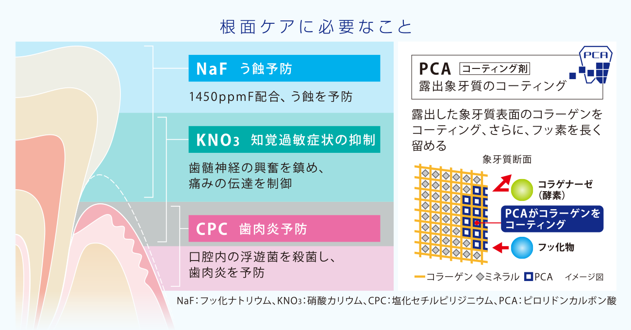 根面ケアに必要なこと（図版）