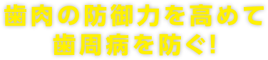 歯肉の防御力を高めて歯周病を防ぐ！