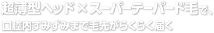 超薄型ヘッドxスーパーテーパード毛で、口腔内すみずみまで毛先がらくらく