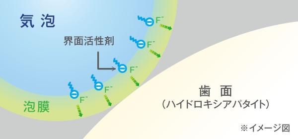 イメージ：泡中のFの吸着図