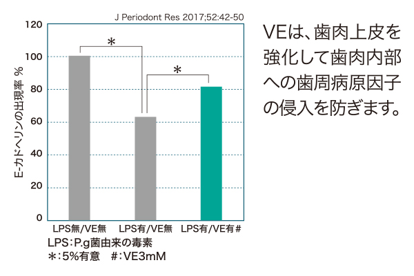 VEは、歯肉上皮を強化して歯肉内部の歯周病原因子の侵入を防ぎます。