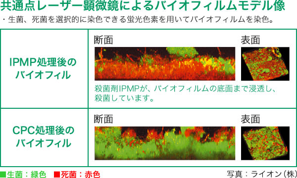 バイオフィルムへの浸透性と殺菌力の比較