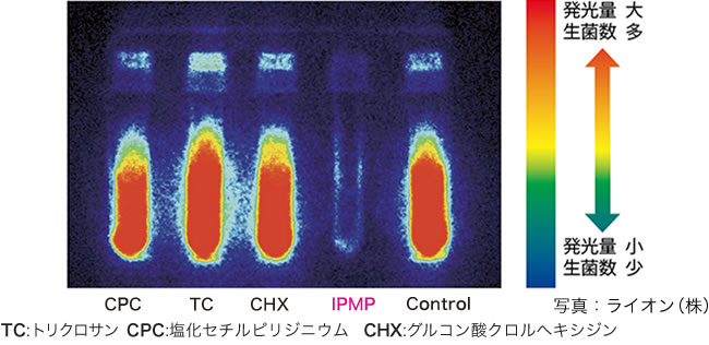 画像/バイオフィルムの残存性菌数の比較 ※写真：ライオン株式会社